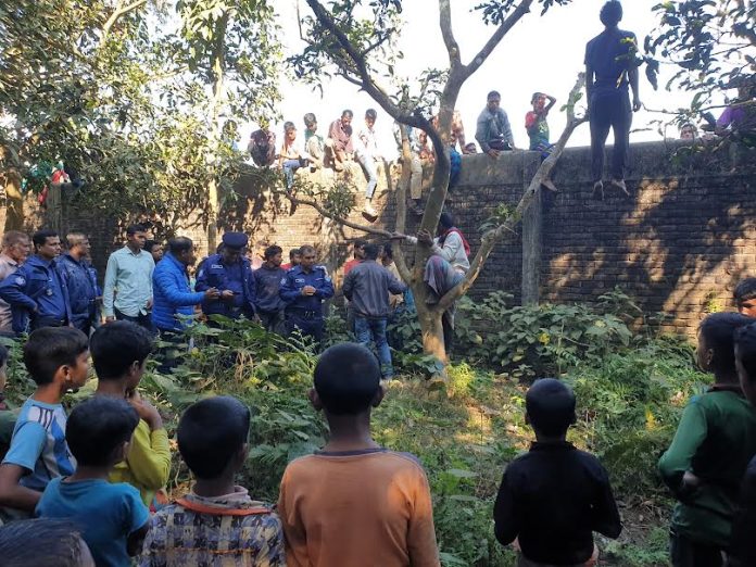 ঠাকুরগাঁওয়ে কলেজ বাগানে যুবকের ঝুলন্ত মরদেহ