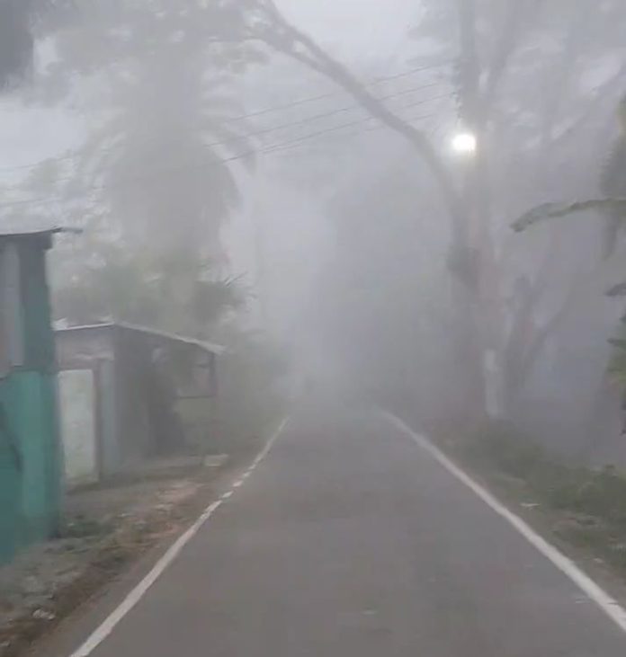 বাড়ছে শীতের প্রকোপ, বইছে হিমেল বাতাস, বাড়ছে গরম কাপড়ের চাহিদা